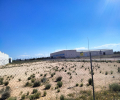 ea_1_524994420