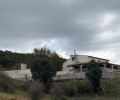 ea_IMG_1486_256822216