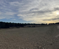 ea_IMG_2877