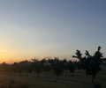 ea_IMG_6507