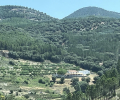 ea_IMG_6970